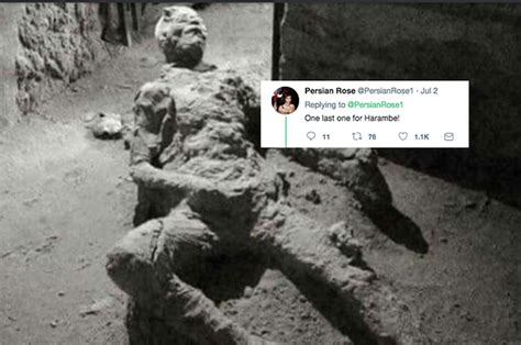pompeii masterbaiter|pompeii master baiter meme.